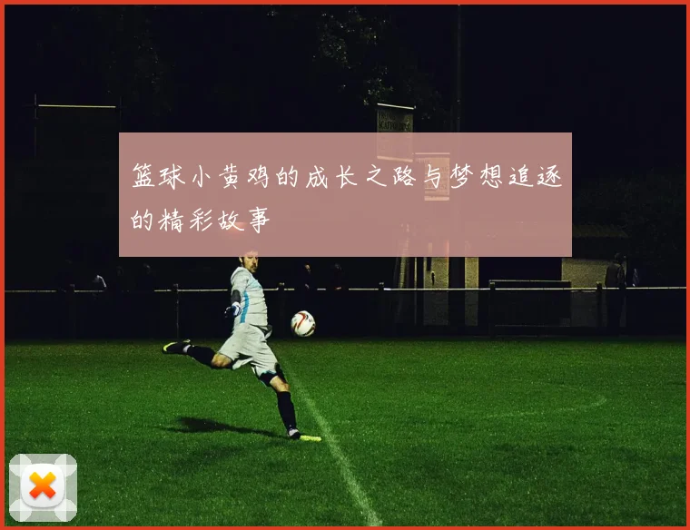 篮球小黄鸡的成长之路与梦想追逐的精彩故事