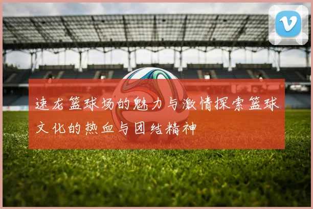 速龙篮球场的魅力与激情探索篮球文化的热血与团结精神