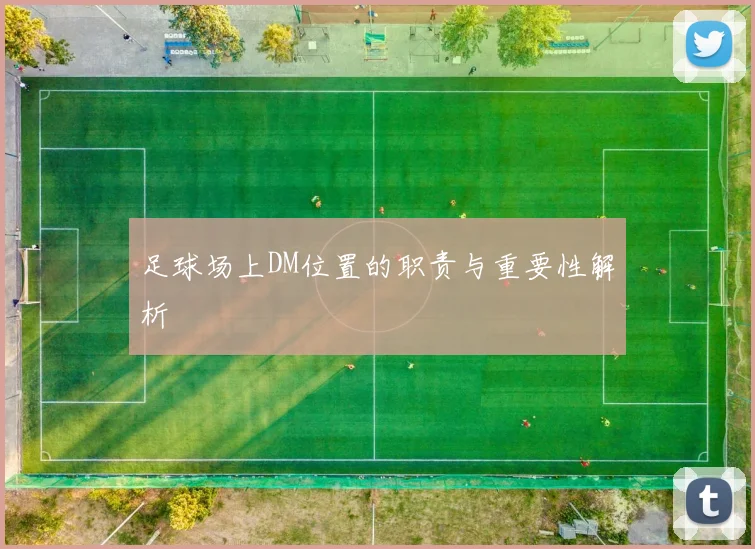 足球场上DM位置的职责与重要性解析