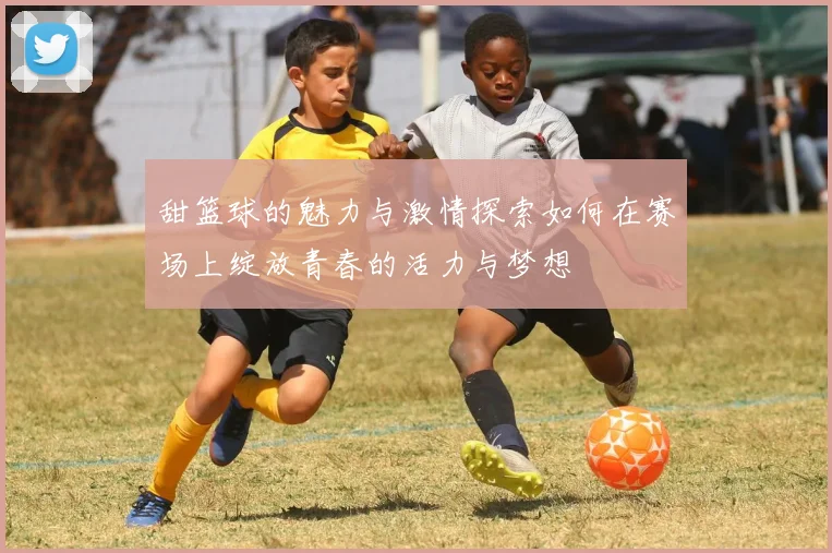 甜篮球的魅力与激情探索如何在赛场上绽放青春的活力与梦想