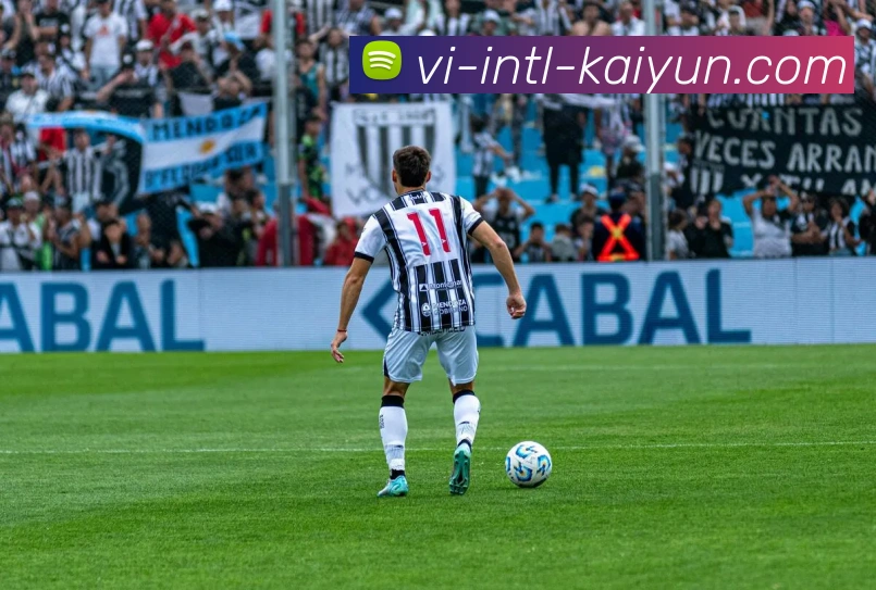 Kaiyun官网平台生态图